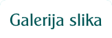 Galerija slika.
